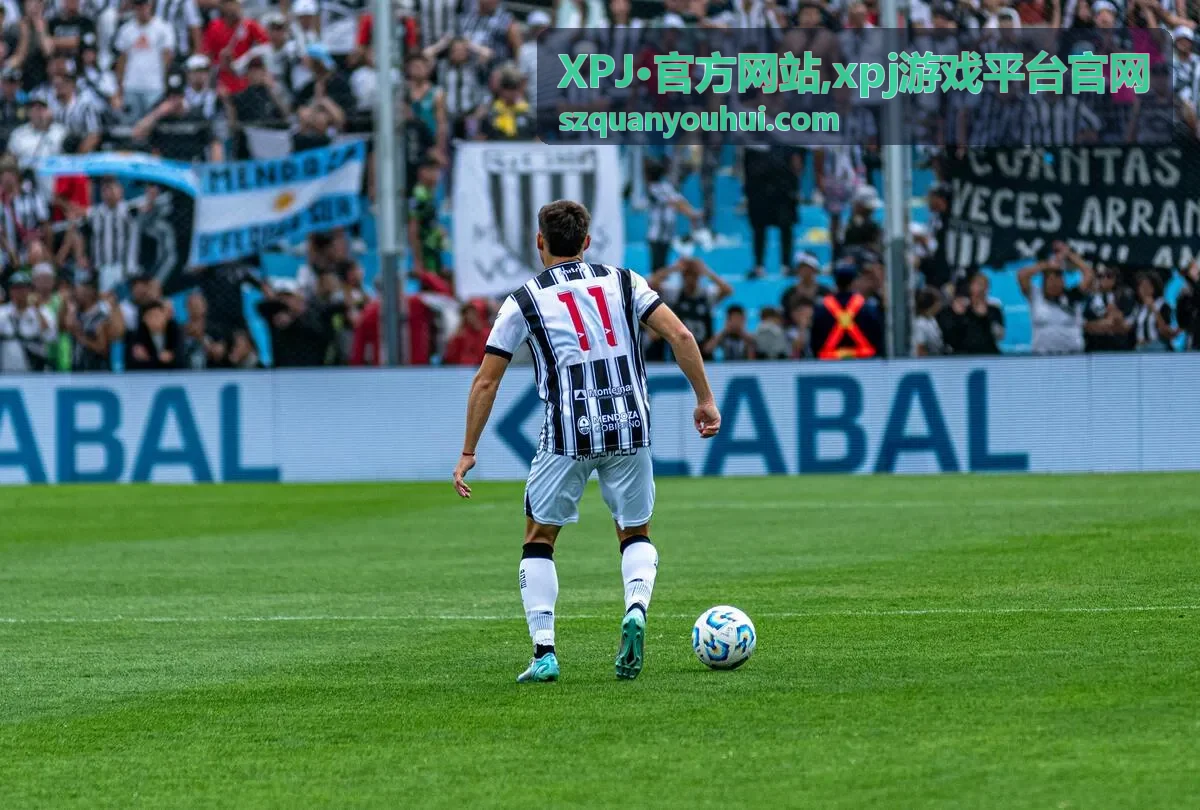 XPJ·官方网站常见问题说明封面